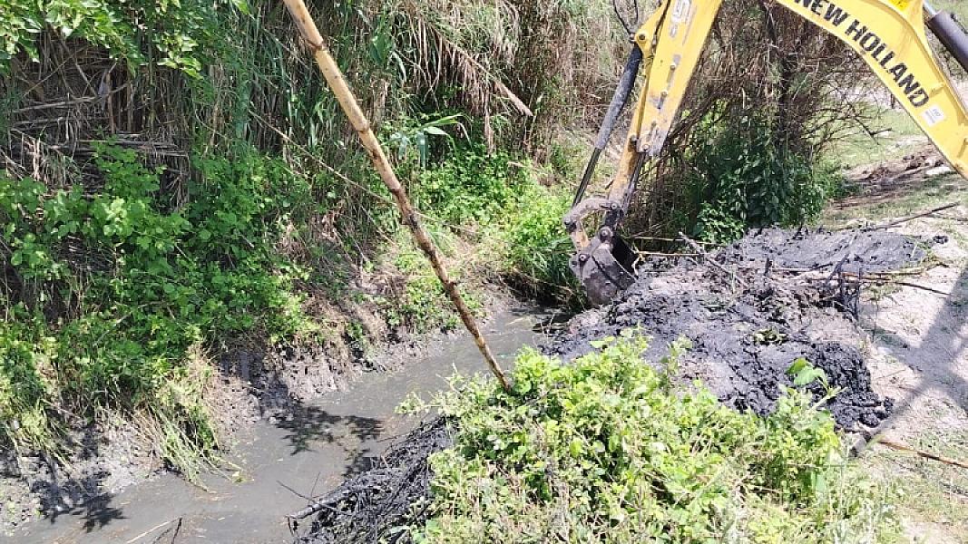 Ərazinin Təmizliyi